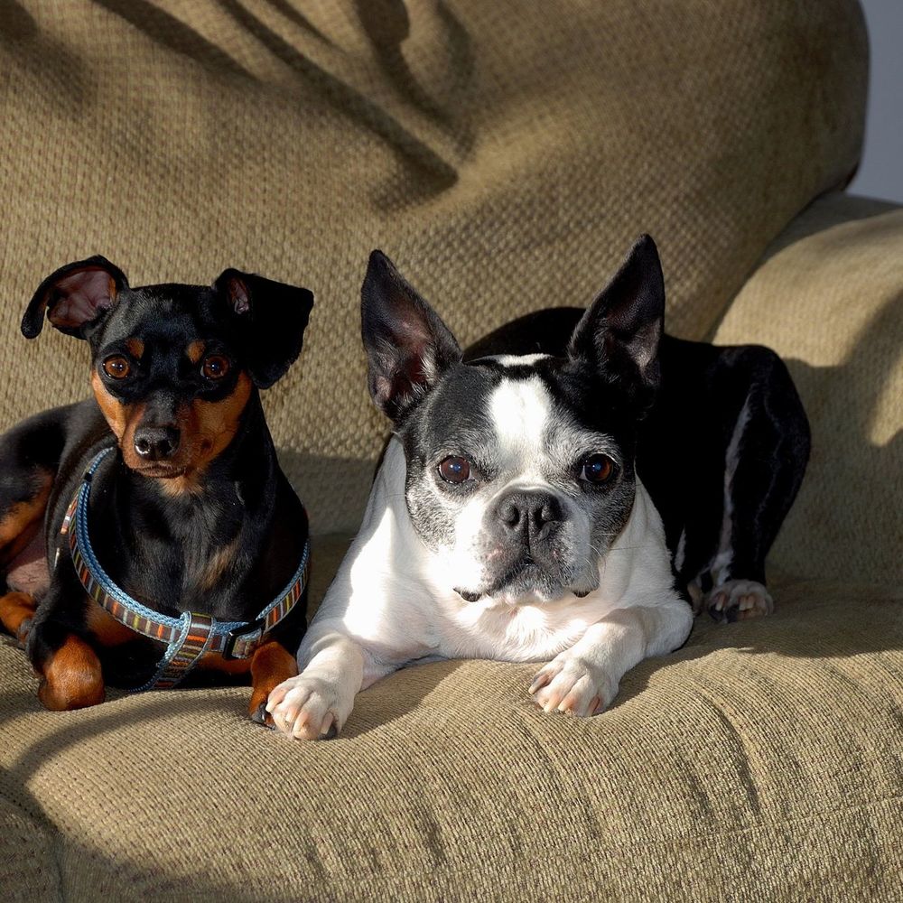 Meet your Posher, Natalie